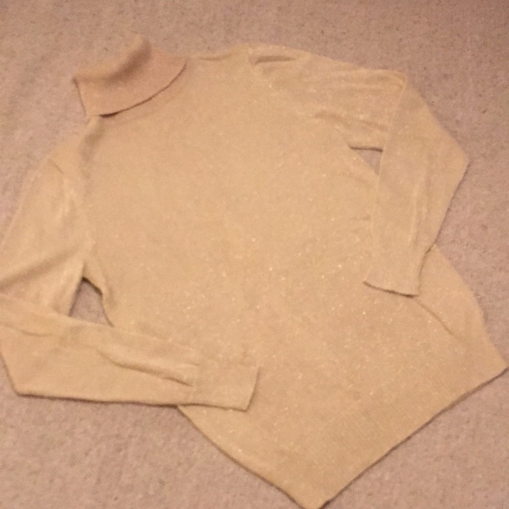 EUC Joseph A. Shimmery Turtleneck Sweater